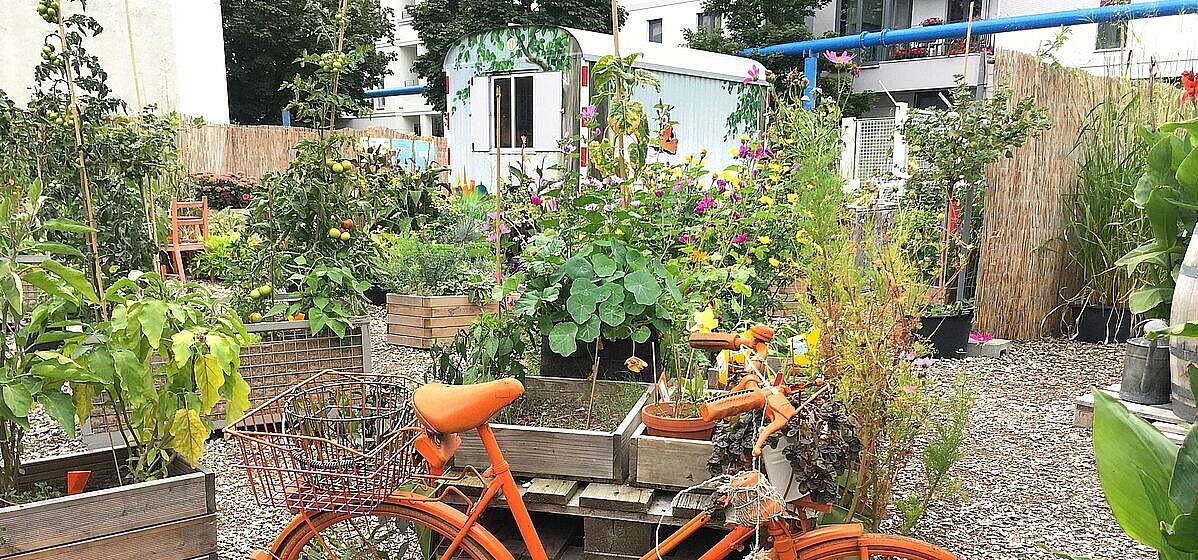 Urban Gardening Neue Grünstrasse