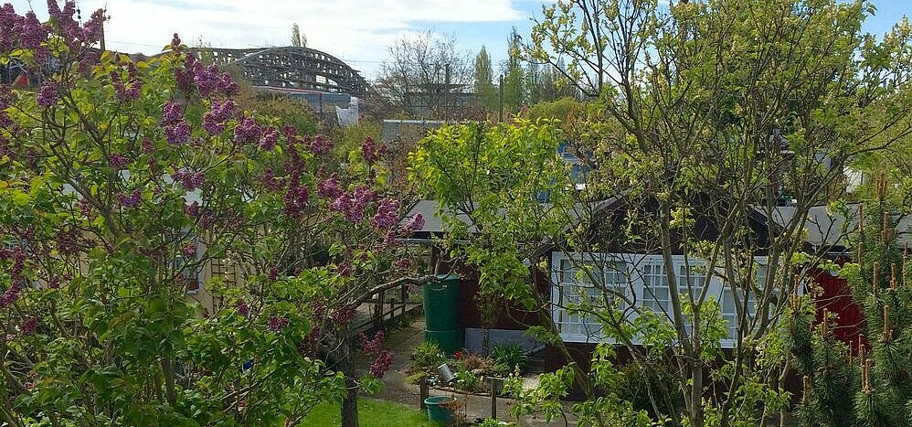 Urban Gardens near Bornholmer Straße/Prenzlauer Berg