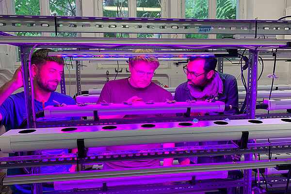 Vertical farms increase efficiency by growing crops in a controlled environment which rely on artificial light.