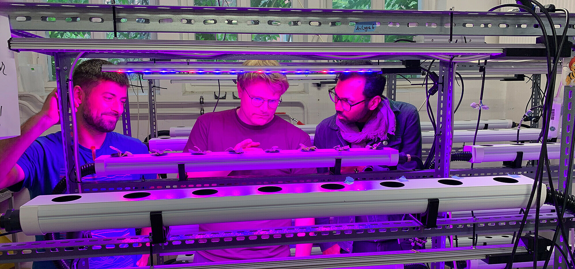 Vertical farms increase efficiency by growing crops in a controlled environment which rely on artificial light.